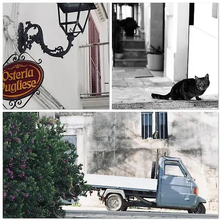 Apartmán Maison De Luxe De 3 Lits Ceglie Messapica